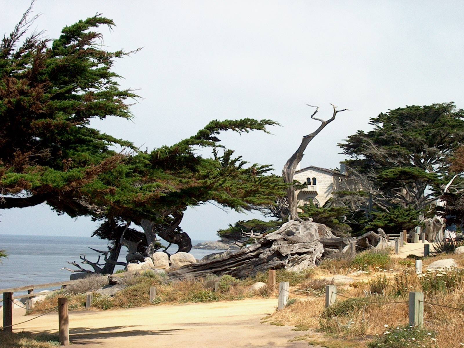 Scenery photography photo 1